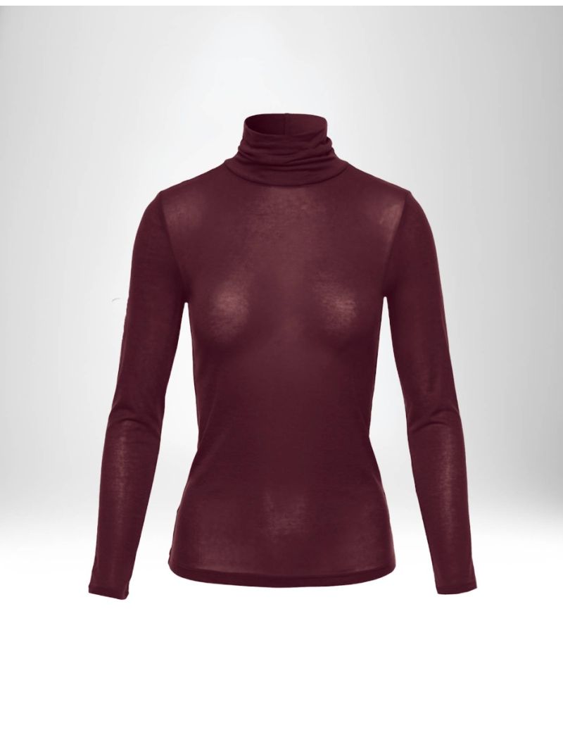 SEMI-SHEER TURTLENECK TOP